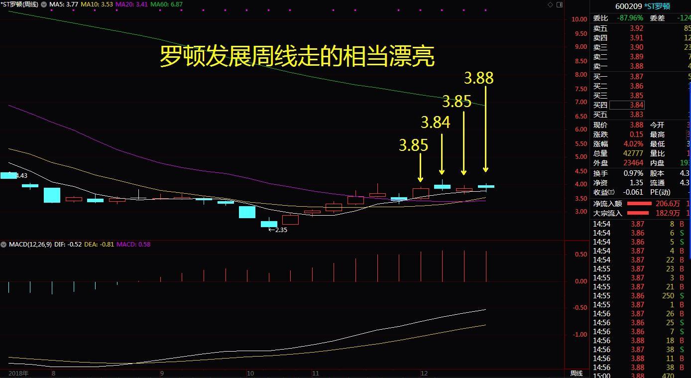 罗顿发展重组最新动态更新，重组进展揭秘