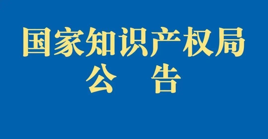 专利法最新版，变革、机遇与挑战的交汇点