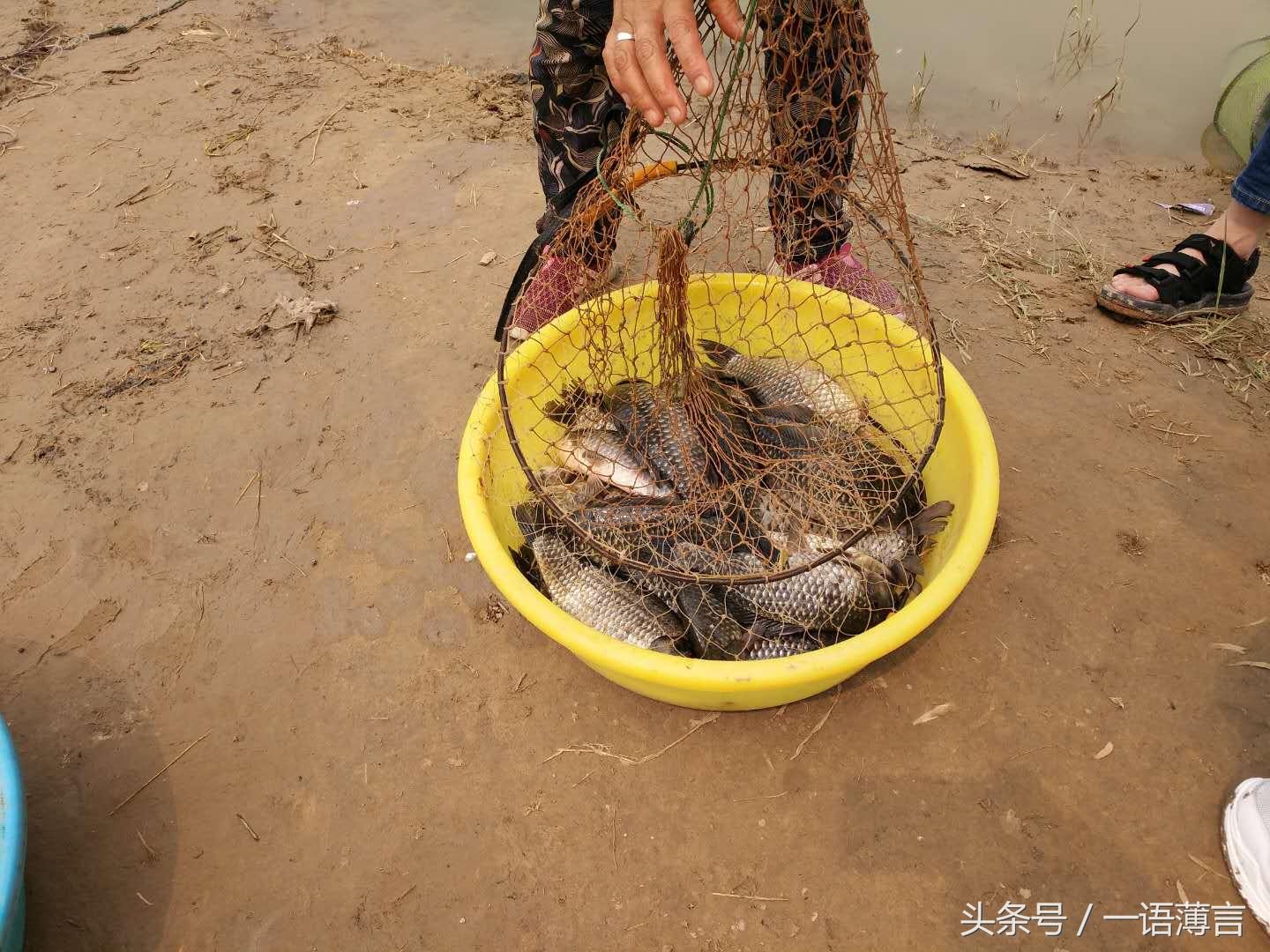 年轻人抢购老人机现象深度探究，背后的原因与趋势分析