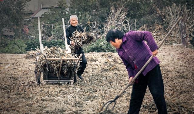 2024年天天开好彩大全_药水哥回应拿下健美比赛第三名,专业分析解释定义_GT63.87.14