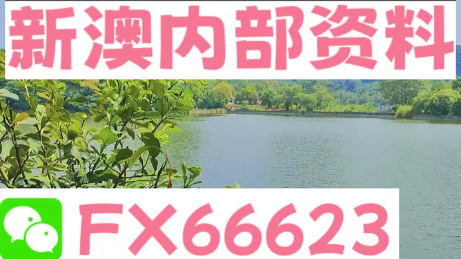 新澳最精准资料免费提供_小朋友带“蛙”上学,稳定解析策略_Deluxe73.46.23