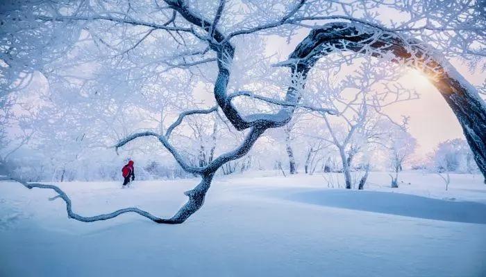 寒潮级降温来袭，局部气温骤降超14℃