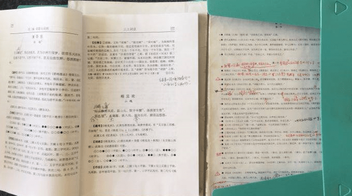 黄大仙资料大全的准确性_凌天战尊最新章节,全面设计实施策略_完整版26.13.67