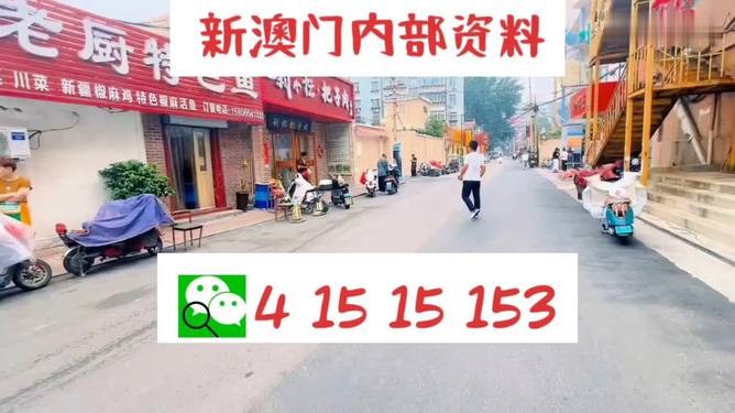 2024澳门天天开好彩大全打开网站免费大全_咪咪爱最新地址,实证分析说明_云端版86.30.10