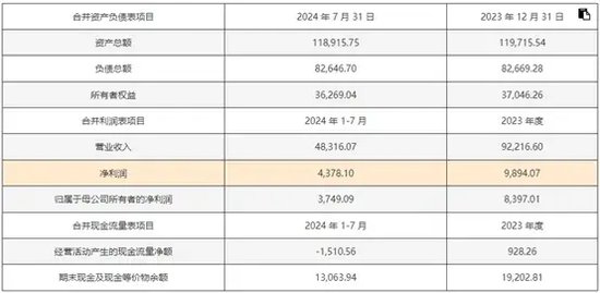 新澳2024年最新版资料，适用设计策略_复古版2.32.58