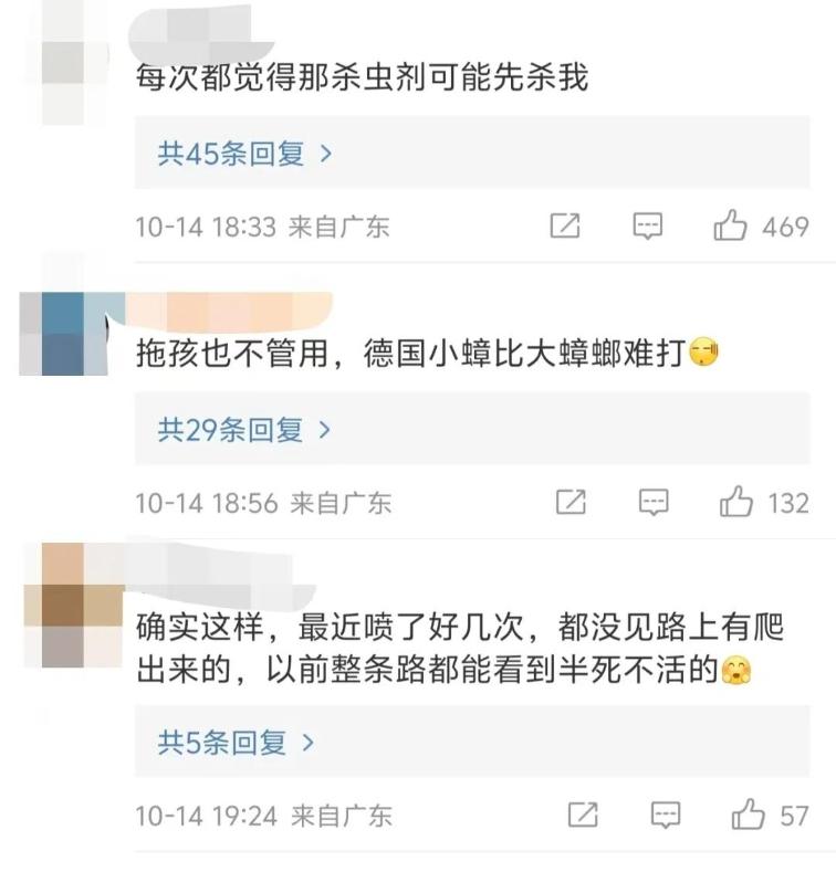 广东蟑螂进化引发关注，疾控部门回应并推出蟑螂防治指南