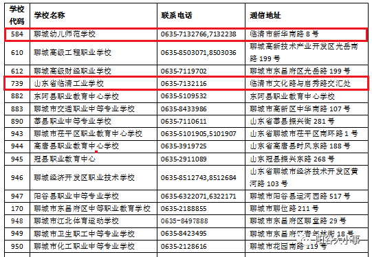 澳门正版资料免费公开2022，实地数据分析方案_T92.13.87