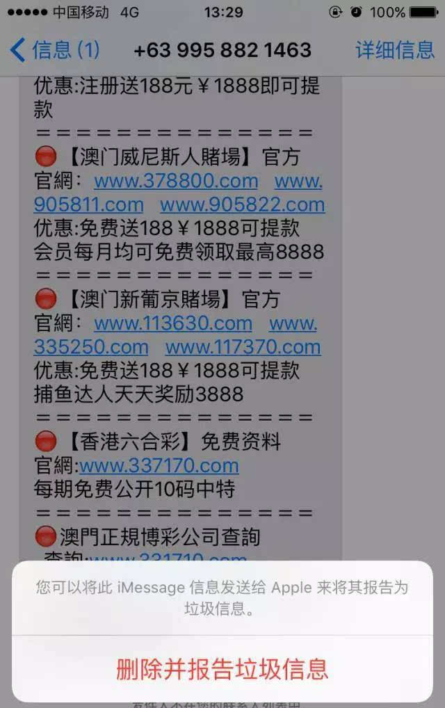 2024澳门六今晚开奖记录，全面解答解释落实_iPhone29.48.19