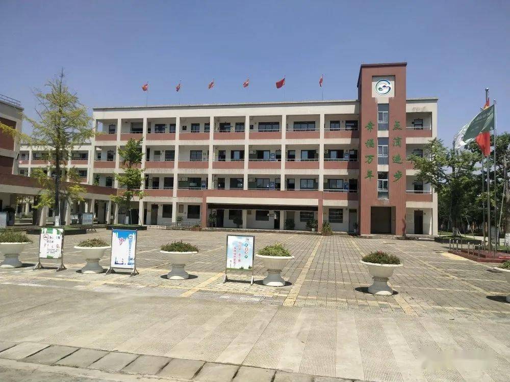 官方回应小学强制六年级学生转校区，教育政策的审视与探讨