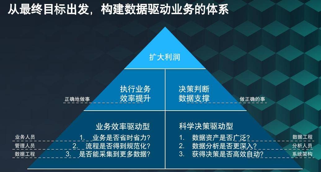 2024新奥资料免费精准071，决策资料解释落实_The69.55.31