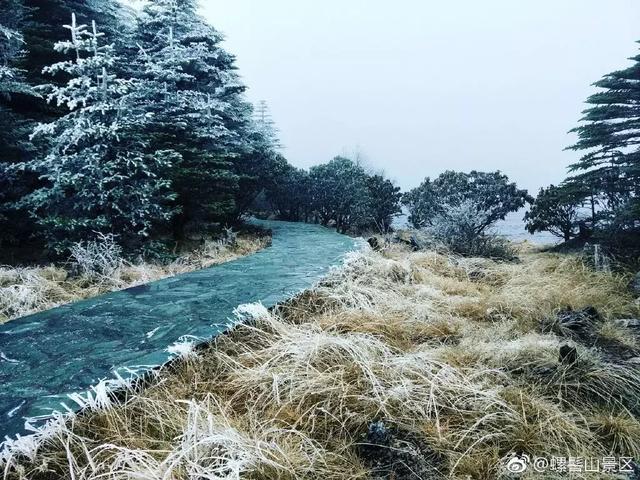 成都今年首场秋雪惊艳亮相，绝美风光一览无余！