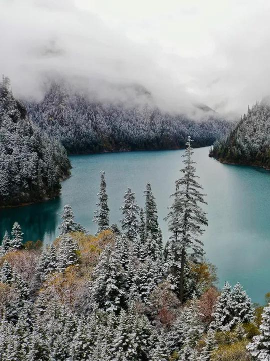 成都今年首场秋雪惊艳亮相，绝美风光一览无余！