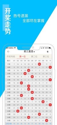 新澳门王中王免费观看资料，数据解读说明_Q45.1.8