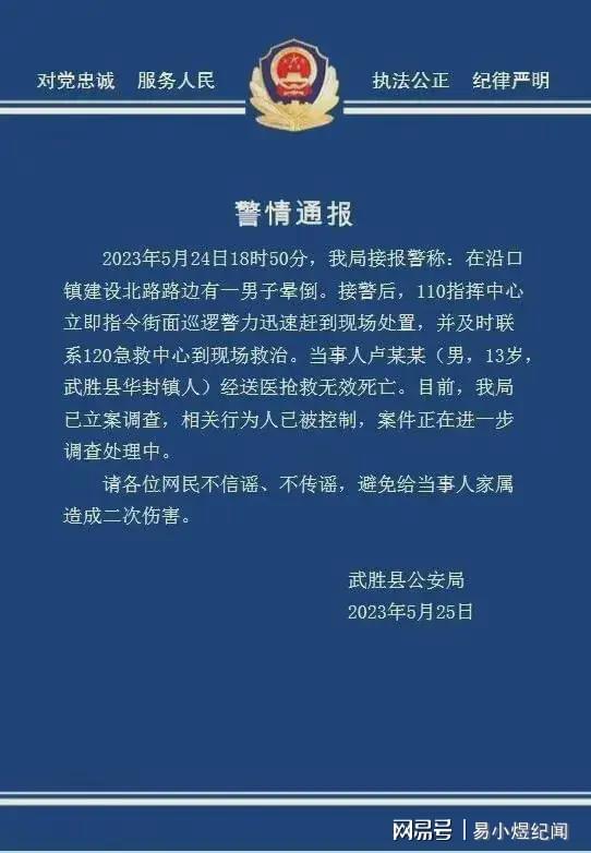 四川学生被霸凌致死传闻揭秘，真相究竟如何？