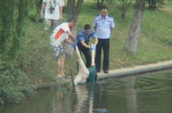 河里漂女尸传闻背后的真相，流量背后的真相探寻