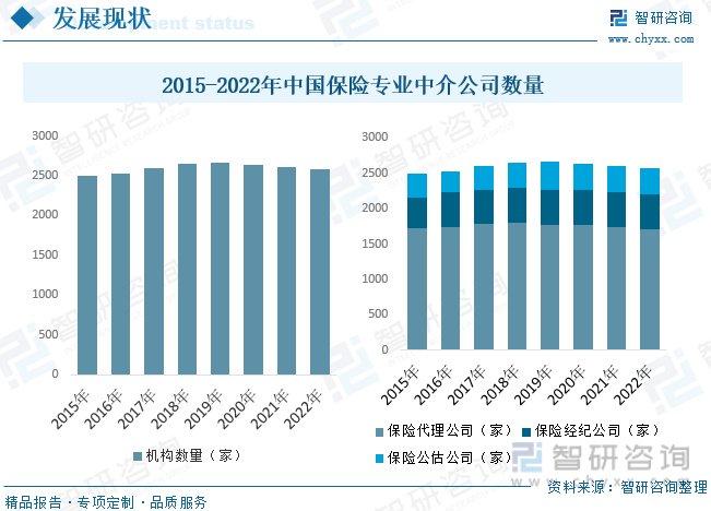 两新发展势头稳健，详细步骤指南及成果展望（前三季度）