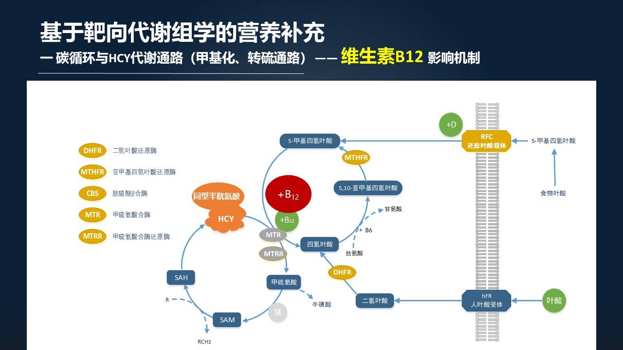 二四六香港每日开奖详录，时代数据解读与实践_动态版LVF553.51