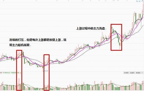 新奥彩资料安全策略揭秘：免费共享，主力版TNG266.24深度分析