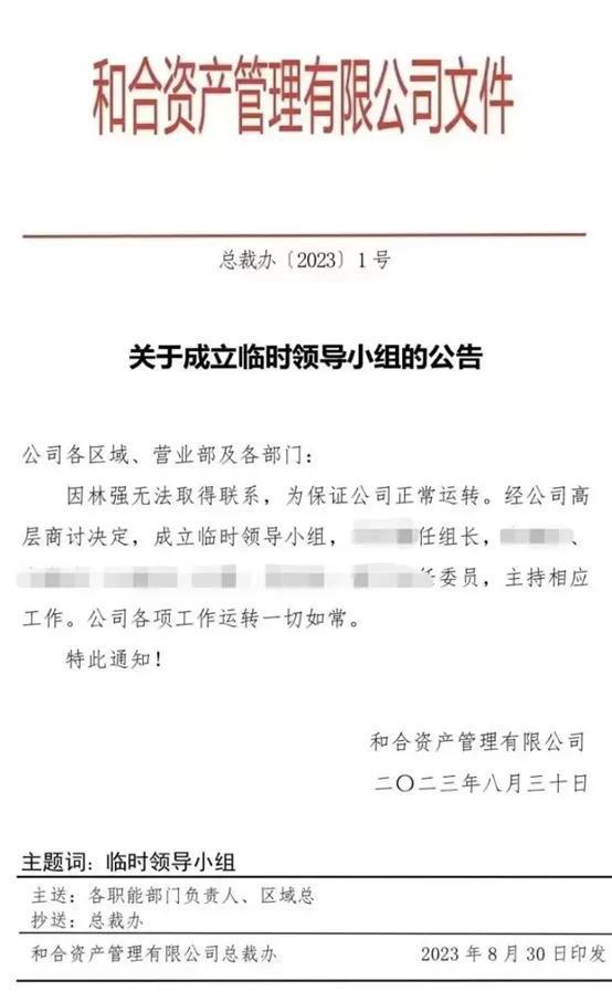 和合系实控人林强境外被捕事件，应对与反思的指南