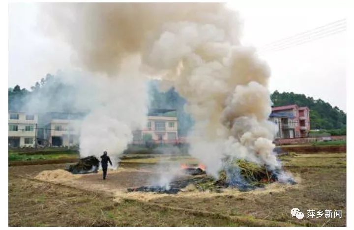 湖南八县因焚烧秸秆被约谈，聚焦治理背后的环境问题挑战