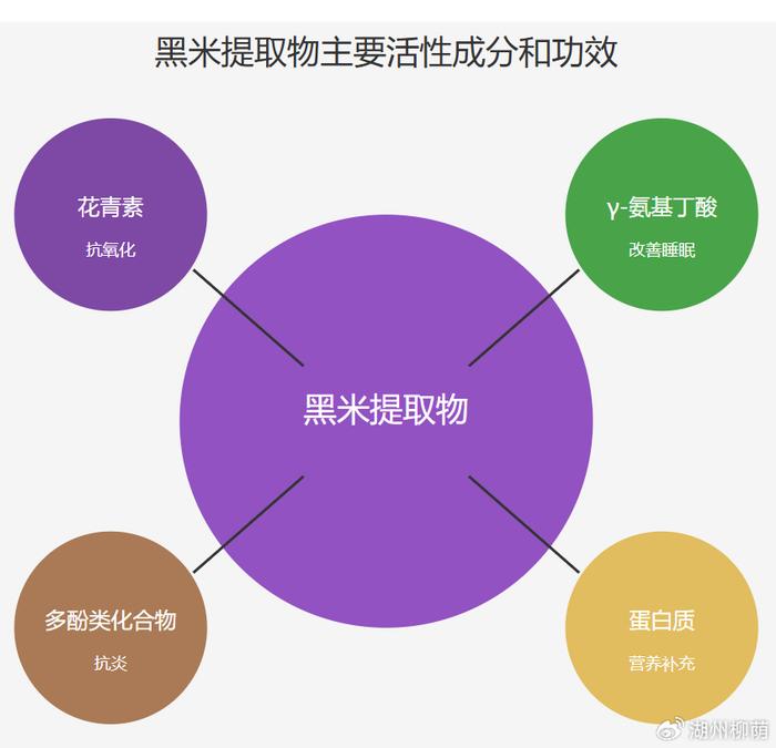 最新教育理念，塑造未来教育的核心要素