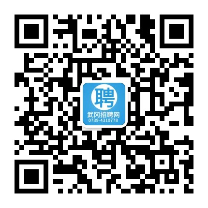 武冈最新招聘信息揭秘，小巷深处的职业机遇