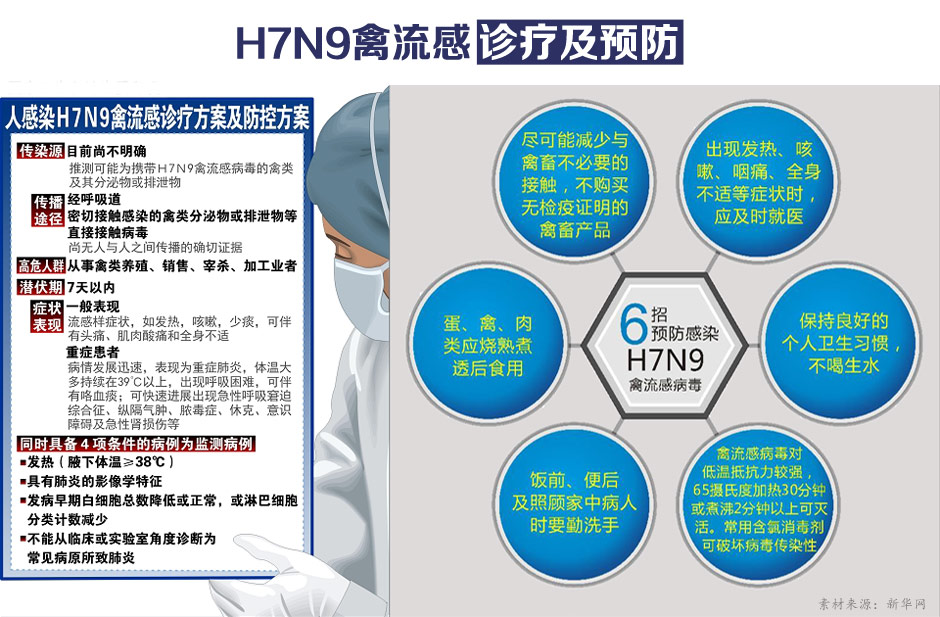 流感H7N9最新动态，全面指南与应对策略更新