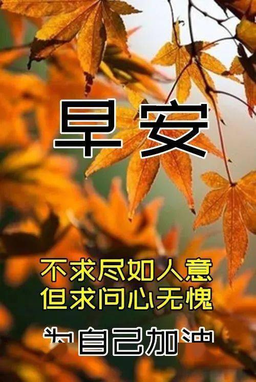 每日启程的鼓舞与学习力量，最新早上好动图集锦