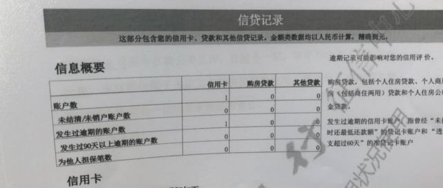 新大洲崛起，时代浪潮下的最新动态与影响分析