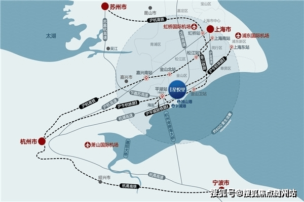 最新种子链接观点阐述与分析，深度解析与链接分享