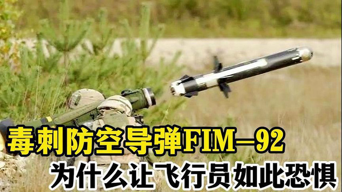 中国最新军事武器揭秘，小巷深处的神秘武器工坊探秘与盈利行业问题探讨