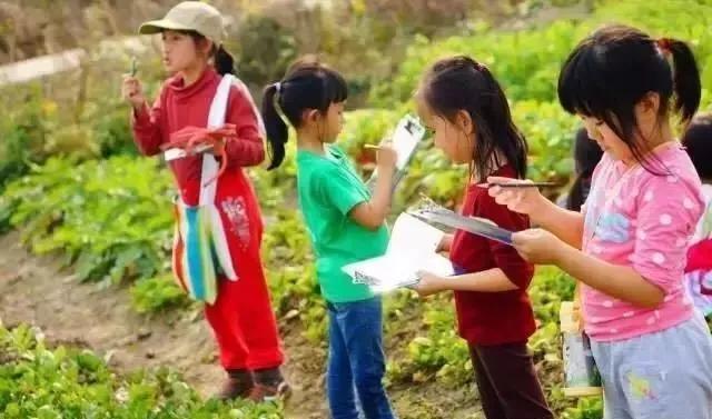 木筏求生最新版本，学习之旅的挑战与自我超越的励志故事