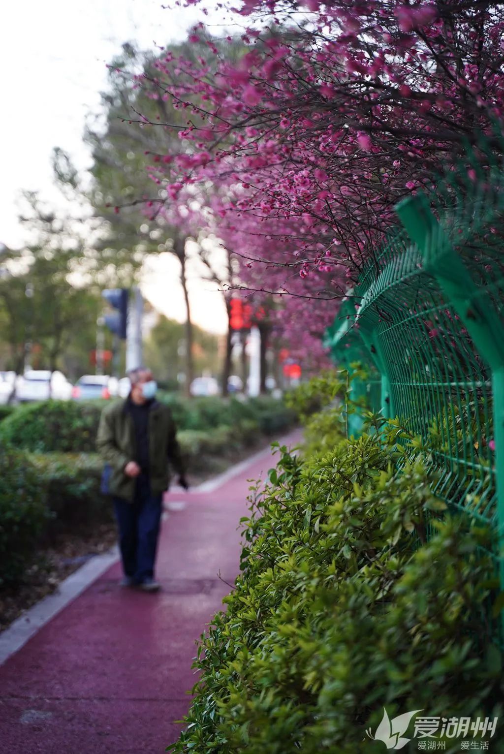 小爱同学最新版本，自然美景探索与内心宁静之旅