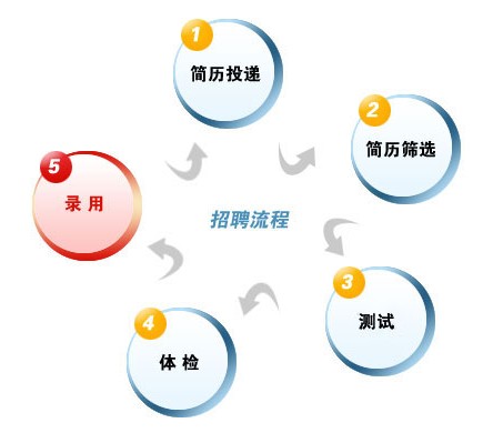 高校招聘网最新招聘信息及应聘步骤指南