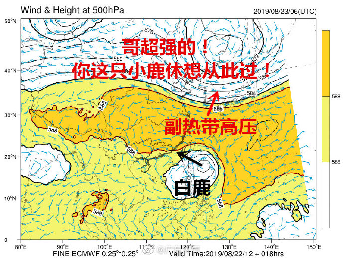 台风最新走势图，多角度观察与预测气象动态