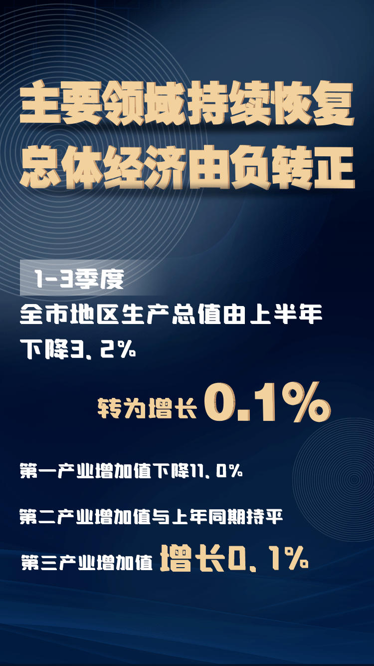 孝感最新招聘信息揭秘，小巷中的职业宝藏等你来探索！