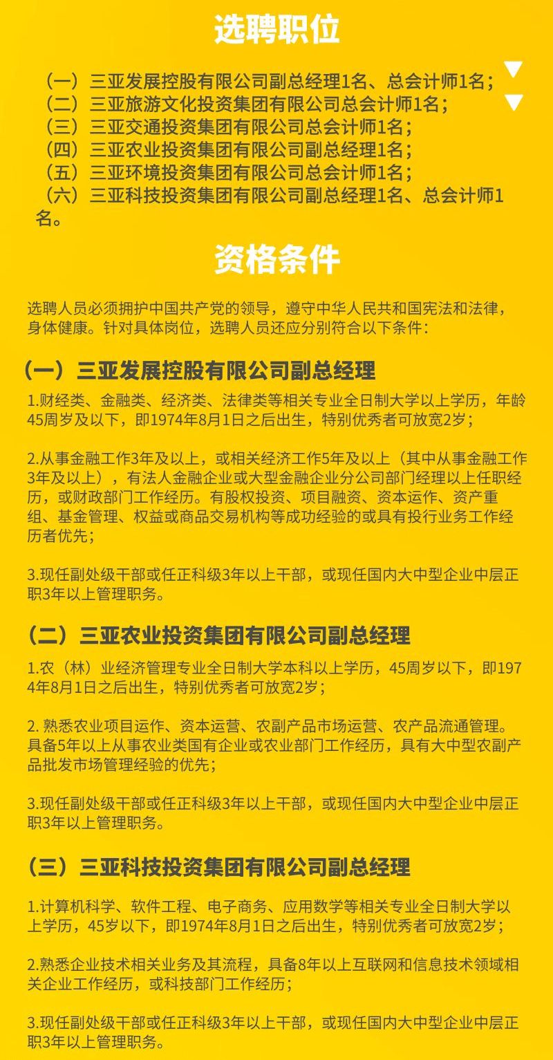 海南招聘网最新招聘启事及其背后的温馨故事