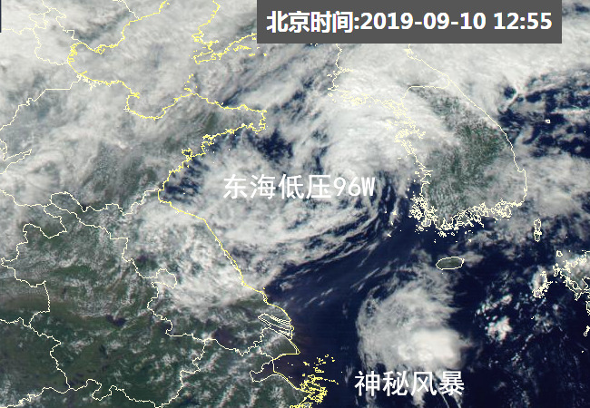 美国最新台风下的隐秘小巷宝藏，特色小店的奇遇