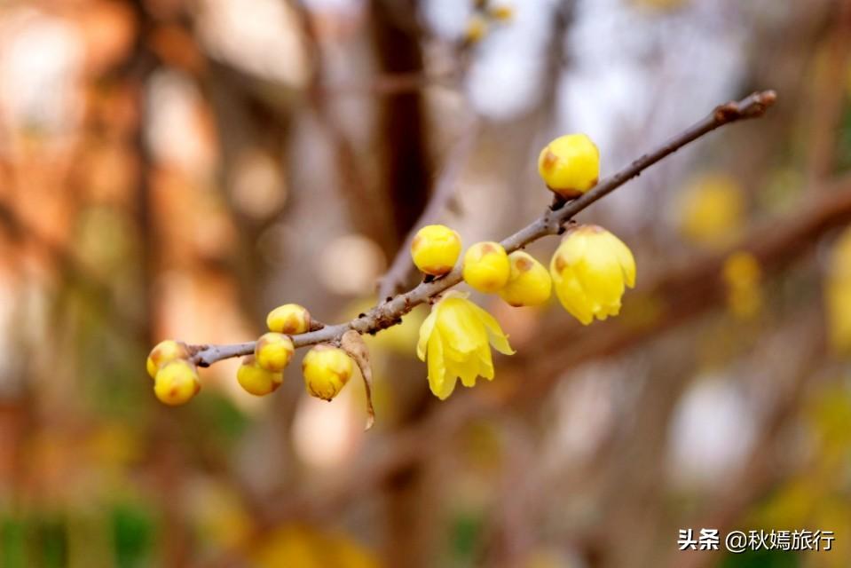 最新流行广场舞，与自然共舞，探寻内心平和之道