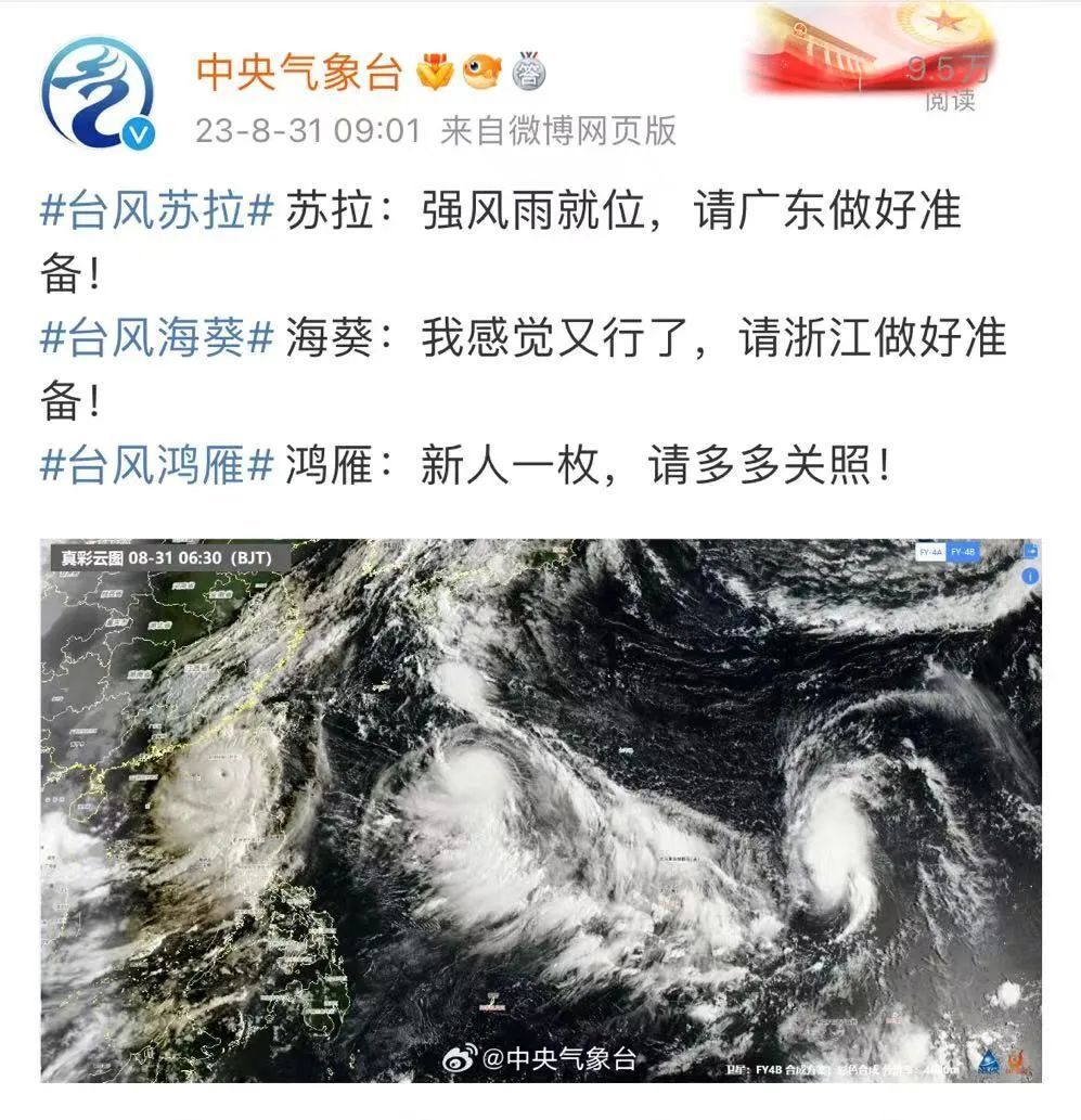 海葵台风最新消息，小红书实时播报风浪动态