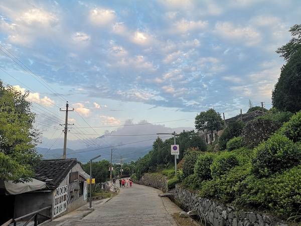 双鸭山最新案件，心灵与自然的奇妙旅程探索