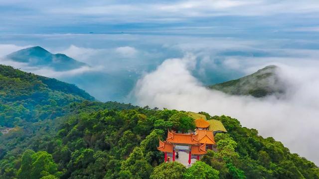 清苑最新招聘，启程探索自然美景的治愈之旅