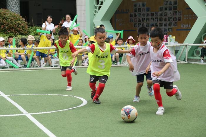 最新小学广播体操，自然美景探索之旅启动