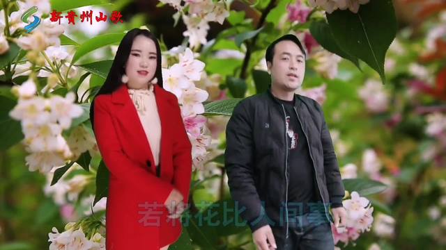 最新贵州山歌，学习指南与赏析