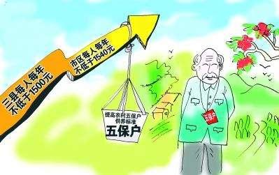 五保户最新政策解读与深度理解指南