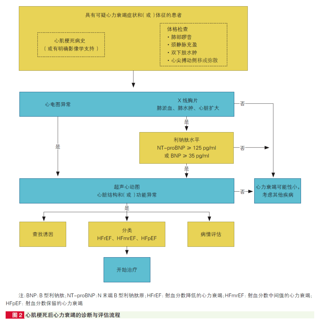 最新心衰指南，科技助力心衰管理，重塑生活品质