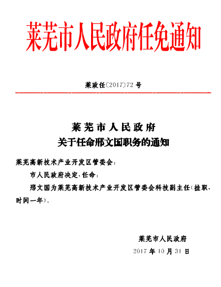 山东最新人事任免，多维度视角下的审视与探讨