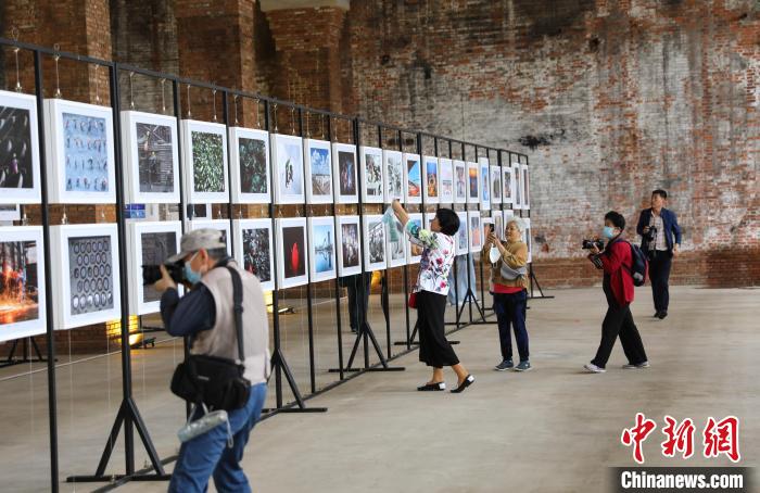 西太湖发展最新动态，当下变化与未来展望