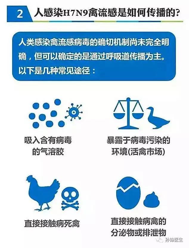 全球关注！最新禽流感及其应对策略