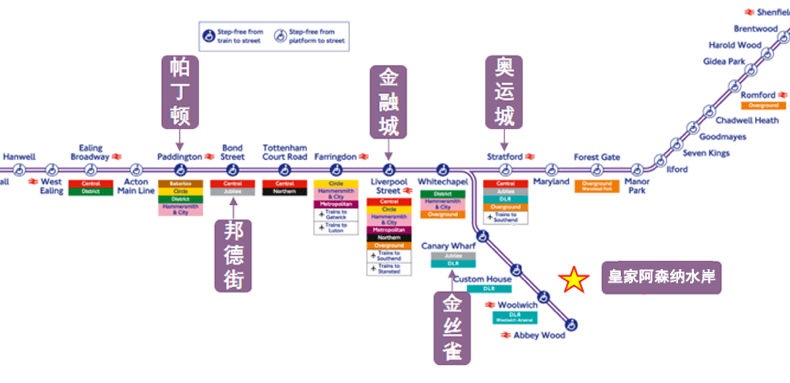 最新面点，背景、发展与时代地位全面解析